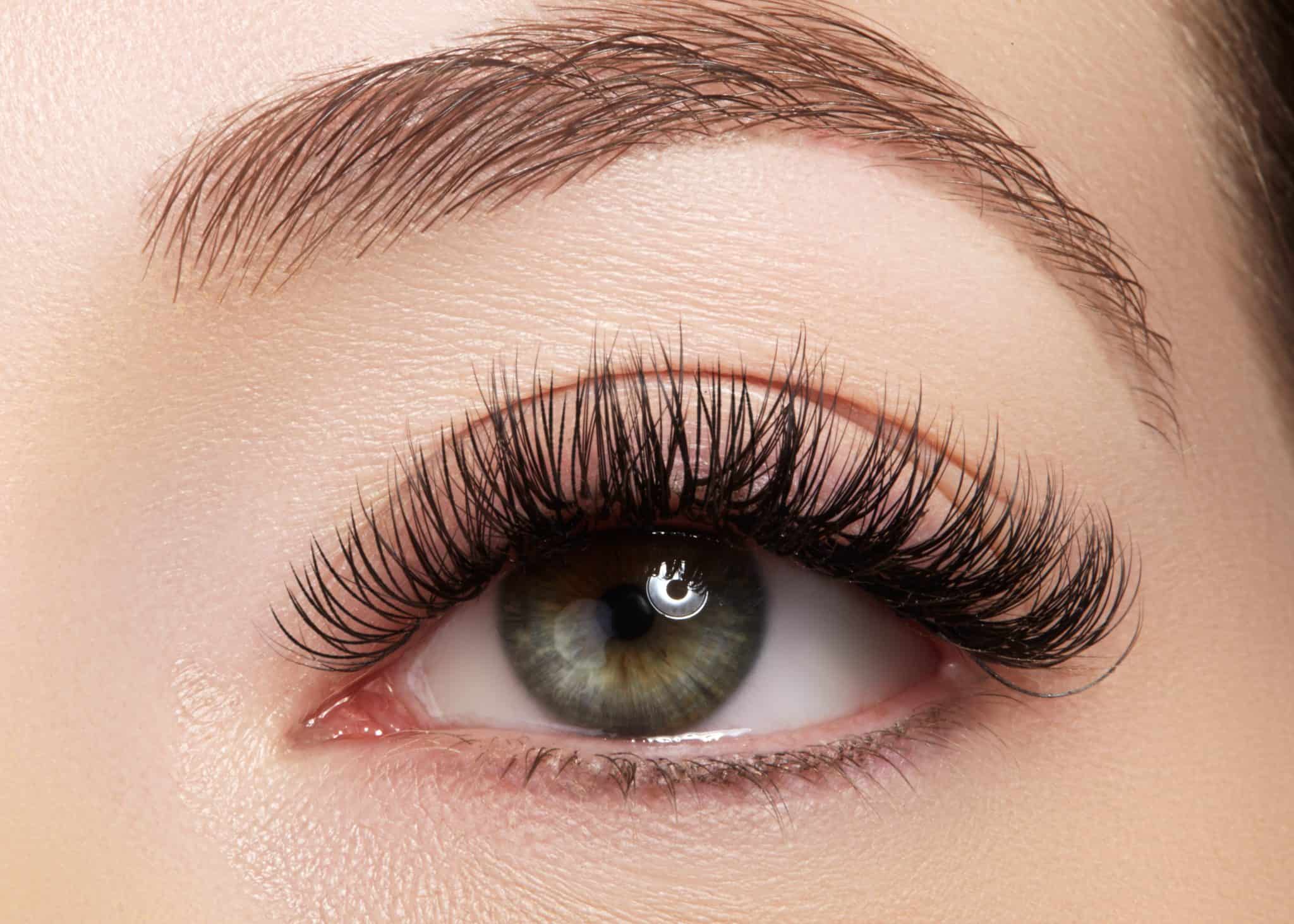 Lashes And Brows Frame Lash Studio Oakville